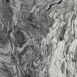 Old gum